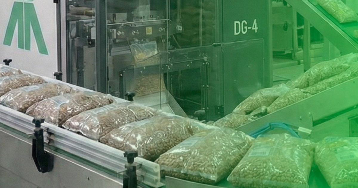 empacotar-feijao empacotar feijao