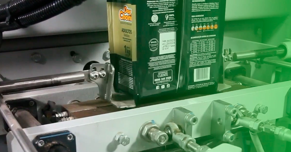 qual empacotadora escolher